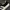 Adidas Indie Casual Sneakers Pria white black photo 5
