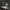 Adidas Indie Casual Sneakers Pria white black photo 1