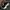 Adidas Indie Casual Sneakers Pria white black photo 6