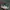 Adidas Gorpcore Casual Sneakers Pria white green photo 1