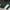 Adidas Gorpcore Casual Sneakers Pria white green photo 3