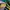 Puma Gorpcore Casual Sneakers Pria green yellow photo 8