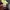 Lonsdale Casual Sweater Pria multicolor photo 4