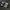 Adidas Indie Casual Sneakers Pria white black photo 2