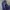 Dickies Vintage Streetwear Hoody Pria navy photo 8