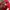 Nike Casual Sweater Pria red photo 3