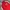 Nike Casual Sweater Pria red photo 2