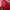 Nike Casual Sweater Pria red photo 7
