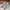 Adidas Casual Sneakers Pria gray photo 2