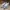 Adidas Casual Sneakers Pria white gray photo 2