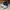 The North Face Sportswear Casual Sneakers Pria white black photo 2