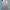 ELLE Luxury Avant Garde Cami top Wanita cream photo 3
