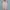 ELLE Luxury Avant Garde Cami top Wanita cream photo 7