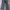Vintage Streetwear Jeans Pria gray photo 2