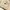Outdoor Research Gorpcore Sportswear Fleece Pria cream photo 7