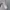 Yves Saint Laurent YSL Casual Casual shirt Pria gray photo 5