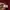 Asics Sportswear Windbreaker Pria burgundy photo 6