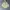 Helly Hansen Streetwear Sportswear Windbreaker Pria khaki photo 1