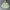 Helly Hansen Streetwear Sportswear Windbreaker Pria Khaki
