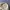 Helly Hansen Streetwear Sportswear Windbreaker Pria khaki photo 7