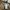 Helly Hansen Streetwear Sportswear Windbreaker Pria khaki photo 5