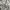 Helly Hansen Streetwear Sportswear Windbreaker Pria khaki photo 4