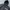 Adidas Streetwear Sportswear Windbreaker Pria black photo 3