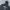 Adidas Streetwear Sportswear Windbreaker Pria black photo 4