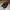 Salomon Sportswear Casual Sneakers Pria black photo 2