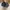 Zegna Sportswear Casual Sneakers Pria black photo 4