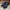 Zegna Sportswear Casual Sneakers Pria black photo 2