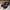 Zegna Sportswear Casual Sneakers Pria Black