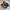 Zegna Sportswear Casual Sneakers Pria black photo 1