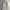 Gorpcore Parka Pria gray photo 3