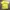 Stussy Vintage Streetwear T-shirt Pria yellow photo 1