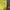 Stussy Vintage Streetwear T-shirt Pria yellow photo 4