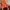 The North Face Gorpcore Parka Pria orange photo 3
