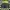 Japanese brand Streetwear Casual Vest Pria green black photo 3