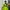 Japanese brand Streetwear Casual Vest Pria green black photo 1