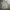 Nike Vintage Sportswear T-shirt Pria white photo 1