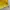 A Bathing Ape Vintage T-shirt Pria yellow photo 3