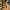 Timberland Streetwear Y2K Boots Pria brown yellow photo 6