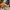 Timberland Streetwear Y2K Boots Pria brown yellow photo 5