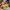 Timberland Streetwear Y2K Boots Pria brown yellow photo 4