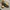 Timberland Streetwear Y2K Boots Pria brown yellow photo 3