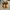 Timberland Streetwear Y2K Boots Pria brown yellow photo 7