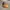 Timberland Streetwear Y2K Boots Pria brown yellow photo 1
