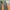 Kangol Streetwear Sportswear Sweatpants & Joggers Pria green photo 3