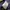 have a good time Streetwear Sportswear Sweatpants & Joggers Pria purple photo 7