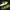 Nike Vintage Sportswear Sneakers Pria black yellow photo 2